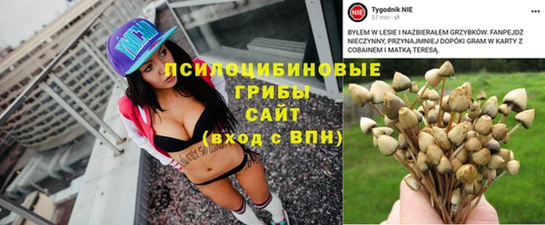 тгк Балабаново